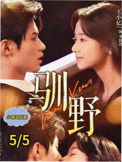 蜜桃影视网站悬疑电视剧雾港迷城